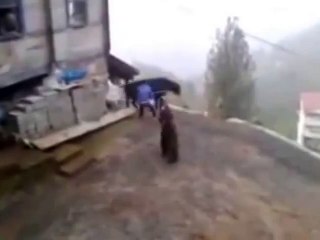 İzLe Gül Bir Daha izlersin