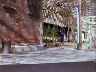 1.18 Введение. Голоса. LFN