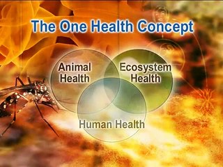 Rift Valley Fever (RVF) - clinical signs and symptoms