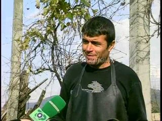 Canta luksoze nga gomat e makinave - Top Channel Albania - News - Lajme