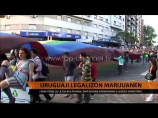 Uruguaji miraton legalizimin e marijuanës - Top Channel Albania - News - Lajme