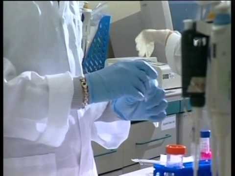 STUDIMI I OBSH NUMRI I TE PREKURVE NGA TUMORET NE BOTE SA VJEN E RRITET LAJM