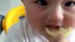 Cute baby ...try to eat lemon ..its so so so cute and funny