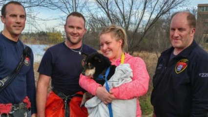 Firefighters save rescue pup from frozen Minnesota lake
