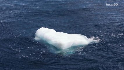 Antarctica is gaining more ice even though the global temperature is rising
