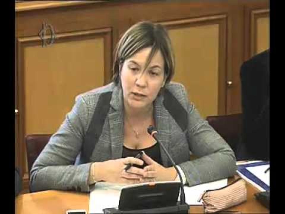 Roma - Audizione di rappresentanti delle regioni Abruzzo, Molise e Piemonte (24.11.15)