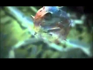 ARTRITI MUND TE KUROHET STUDIMI ZBULON "PIKAT" FAJTORE TE KEQFORMIMEVE NE ADN LAJM