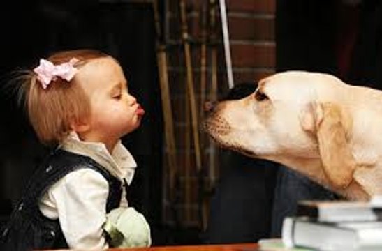 Cute Dogs Giving Babies Kisses Compilation 2015 , # 16