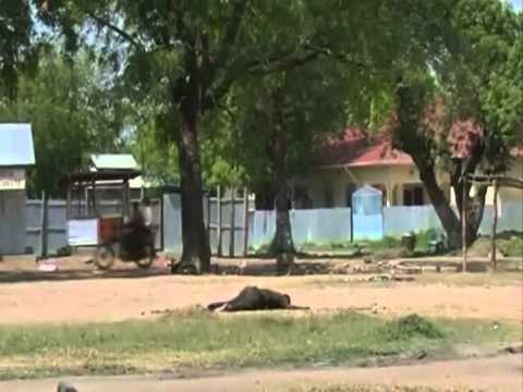 SITUATA NE SUDANIN JUGOR VENDI I VARFER PO SHKON DREJT NJE LUFTE TE MUNDSHME CIVILE LAJM