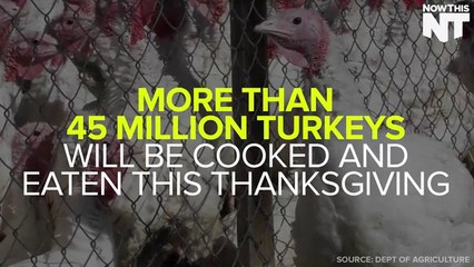 Peta Protestors Go Nude To Encourage You To Be Vegan