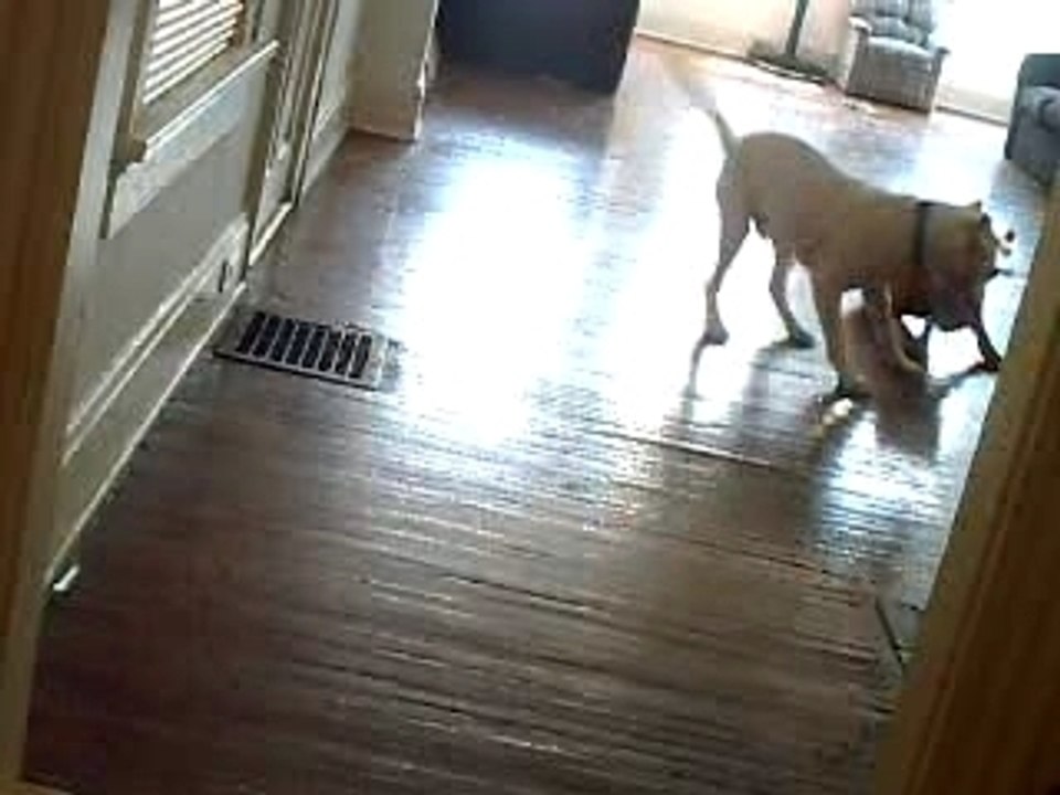 CLIP0047