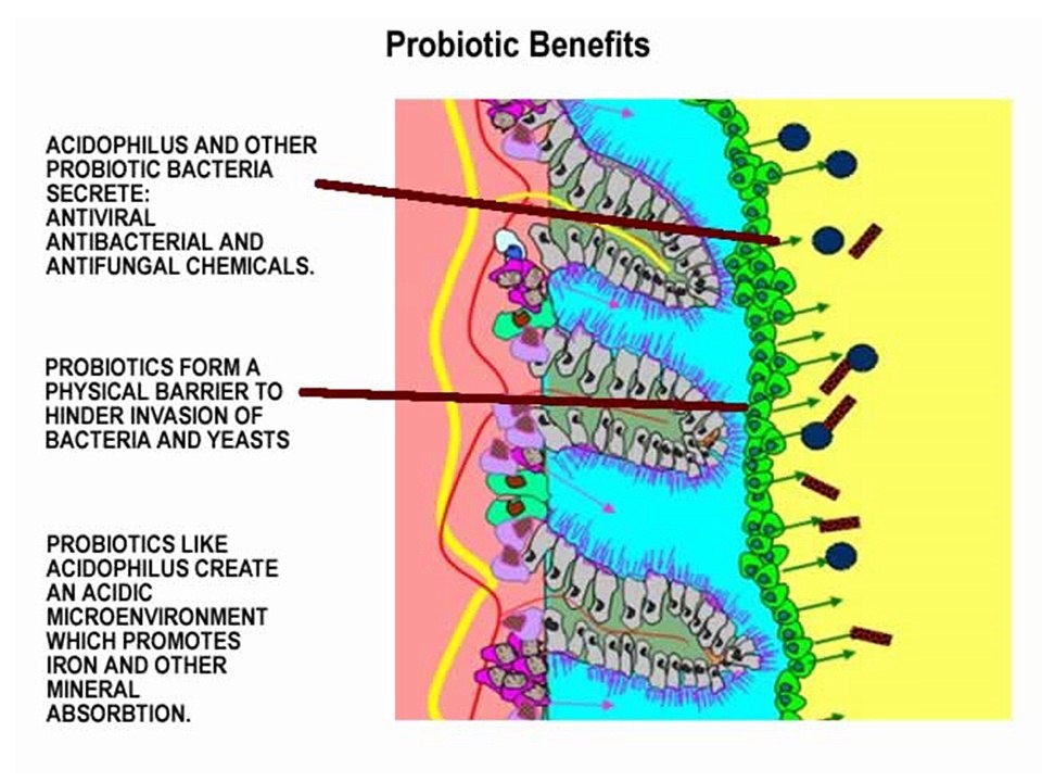 Perfect Biotics works for Abdominal Pain