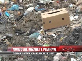 Elbasan, mbetjet në lumë rrezik epidemie - News, Lajme - Vizion Plus