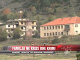 Psikologët për familjen në krizë dhe krimin - News, Lajme - Vizion Plus