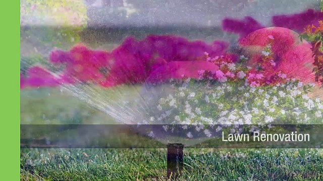 Shannon Lawn & Landscaping: Offering A Complete Yard Maintenance Package