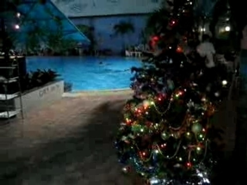 Sapin_noel_saigon