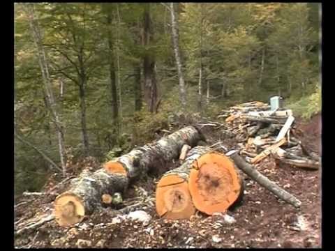 BLLOK NGA VENDI PD AKUZA QEVERISE PER NEPUNESIT CIVILE E SITUATEN EKONOMIKE LAJM