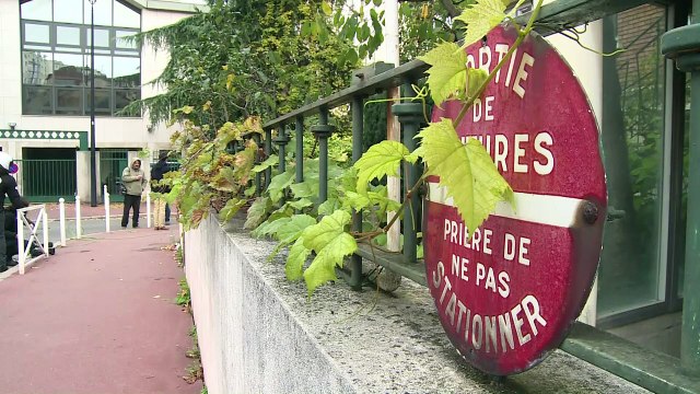 AFP - Le JT, 2ème édition du mardi 24 novembre
