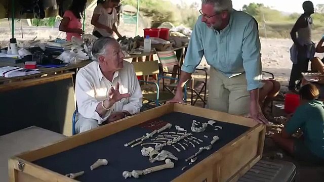 Who is Lucy the Australopithecus Five Unknown Facts About The Oldest Humanoid