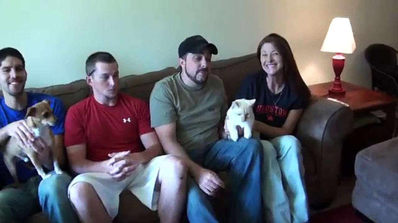 Dog VS Cat Wrestling Competition. MMA Fight! Hilarious