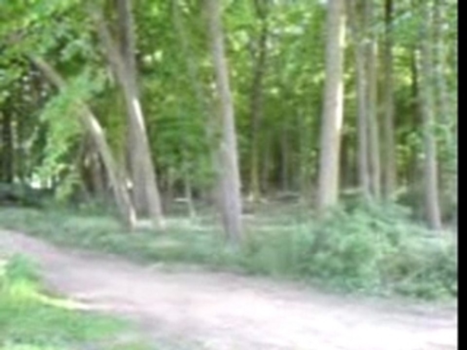 Joli_saut