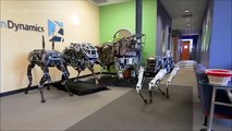 US Military Robot Dog will make a great companion for RoboCop