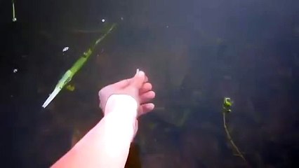 Рыбак 80 уровня