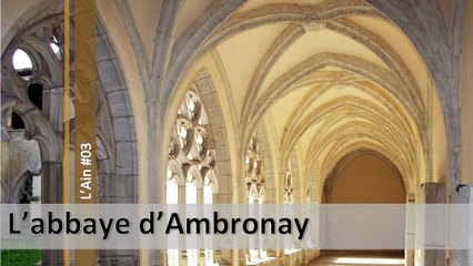 Visite de l'Ain n°03, l'abbaye d'Ambronay (d)
