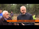 Rama, Koka dhe Sejdini mbjellin pemë në Krastë të Elbasanit - Top Channel Albania - News - Lajme