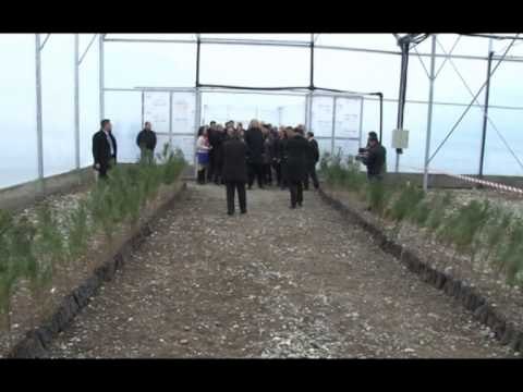 KRYEMINISTRI NE ELBASAN RAMA DEKLARON SE DO MBESHTESE HAPJEN E VENDEVE TE PUNES LAJM