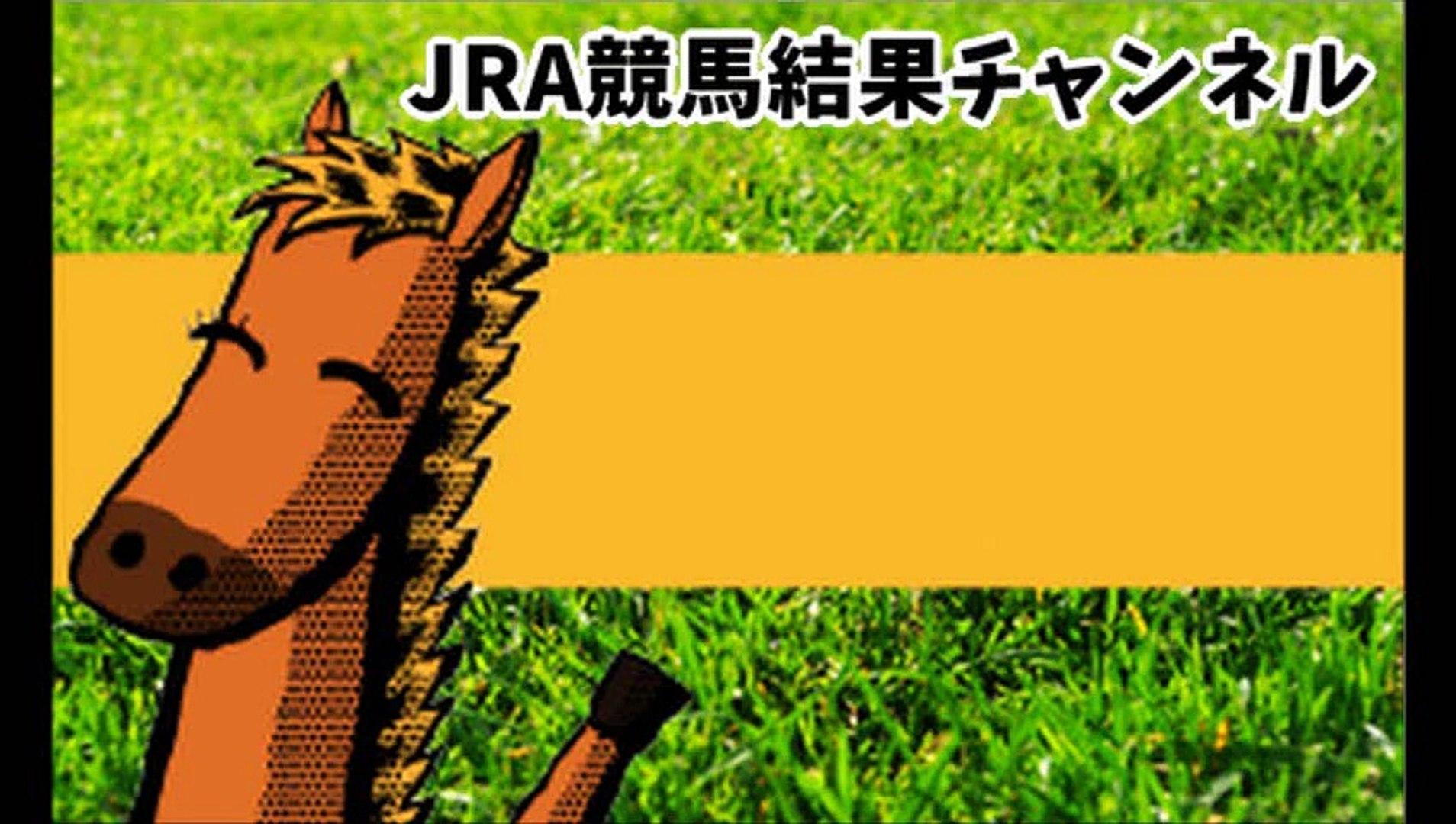 ⁣【第35回 ジャパンカップ（GI）ダービーフィズ調教動画】JRA競馬結果チャンネル