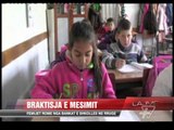 Fier, fëmijët romë braktisin mësimin - News, Lajme - Vizion Plus