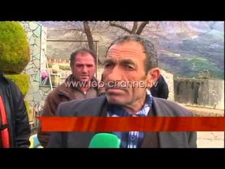 Blegtoret protestë për qumështin - Top Channel Albania - News - Lajme