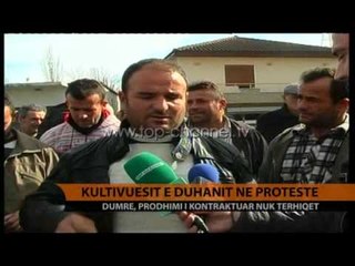 Dumre, kultivuesit e duhanit në protestë - Top Channel Albania - News - Lajme