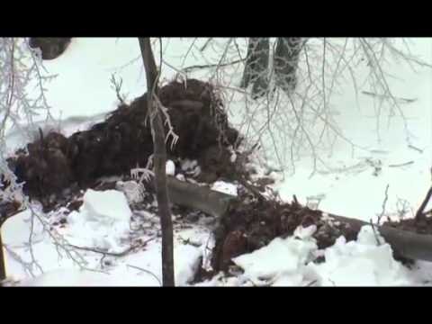 DIMER ME DEBORE EDHE SLLOVENIA GODITET NGA NGRICAT DHE STUHITE E DEBORES LAJM