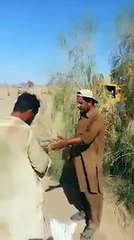 Pashto Pathan Funny Fight