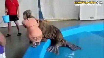 Deniz Aygırının Sen Git Sıradaki Gelsin Hareketi