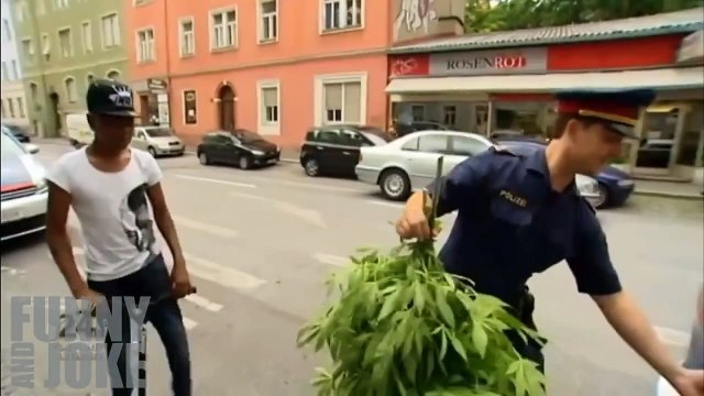 Лучшее в COUB 2015 Смешные Приколы, фан видео - приколы 2015 #272