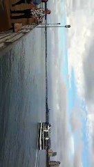 New Periscope Just Out by tripwellness