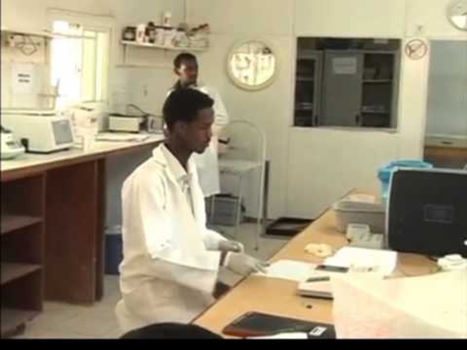 VDEKSHMERIA NGA FRUTHI SIPAS OBSH KA PASUR RENIE ME 70% NGA VITI 2000 DERI NE 2012 LAJM