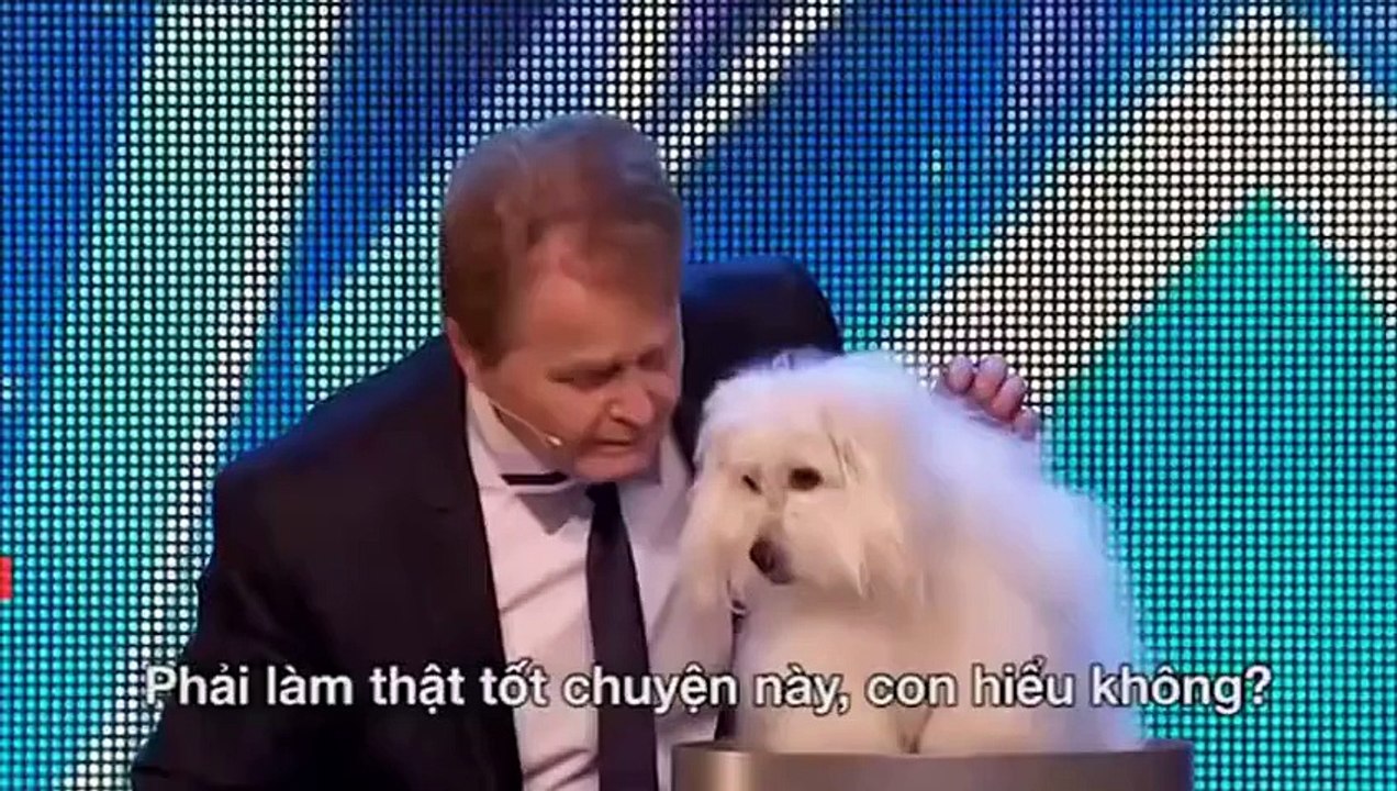 Smartest dog planet