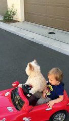 Köpeğin Kullandığı Arabayla Gezintiye Çıkan Sevimli Çocuk