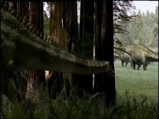 Diplodocus