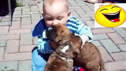 वीडियो बच्चे और कुत्ते मजेदार