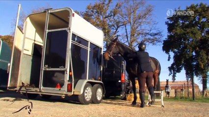 Cavalcades : Le Hunter