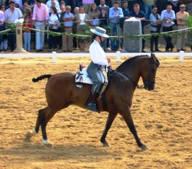 Cristina Carlota Araújo Gómez y "Brioso"