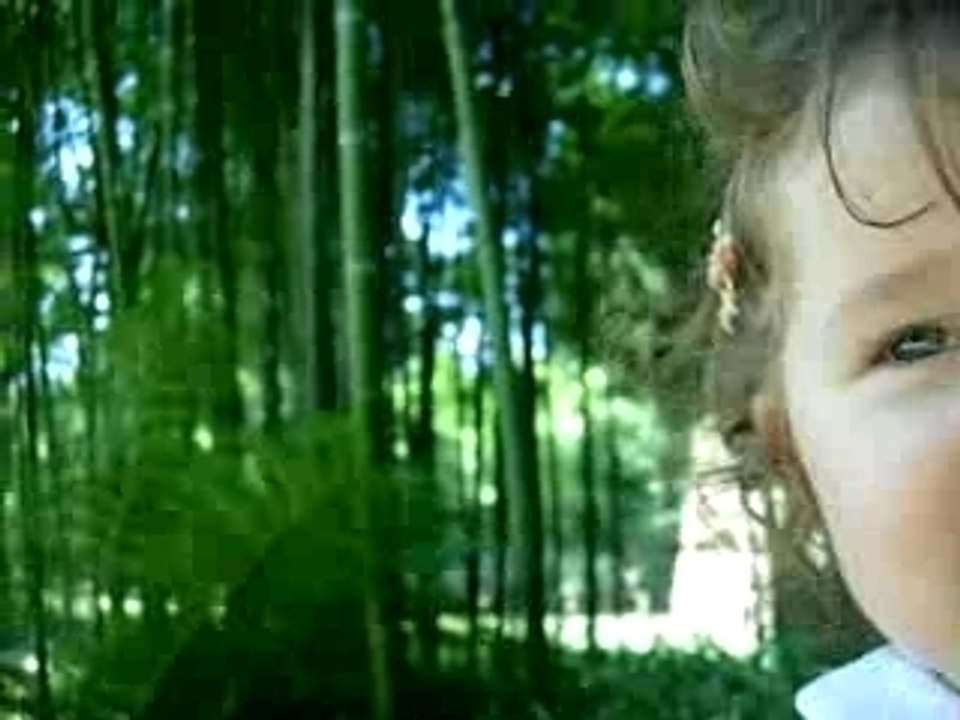 Clementine à la bambouseraie