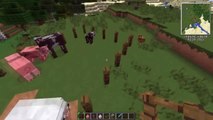 Minecraft ciekawostki(4): Uniwersalne wejście tylko dla nas