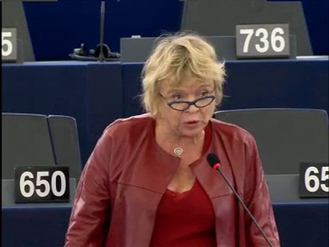 Eva Joly: Le Parlement a su s'affirmer auprès des multinationales
