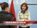 Pallate që kursejnë energjinë elektrike - News, Lajme - Vizion Plus